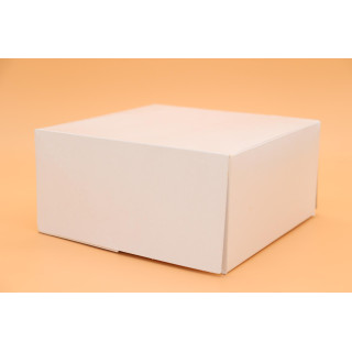 Boîte blanche 40x8 - x1