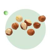 Noisette
