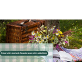 Escapade en Plein Air 🧺🍓