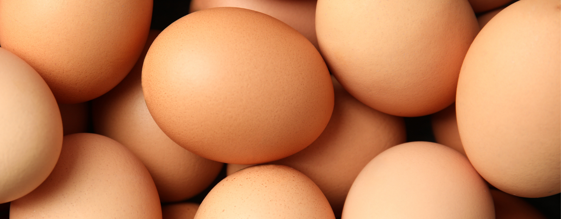 Connaissez-vous les blancs d'œufs déshydratés ?